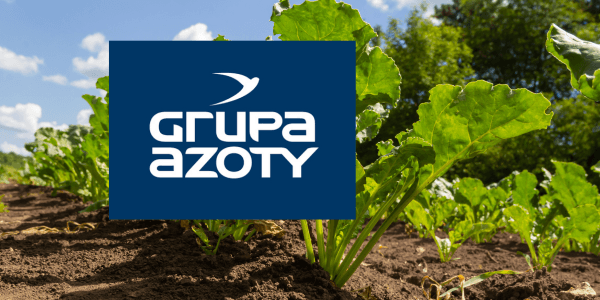 ZBILANSOWANE NAWOŻENIE BUDUJE PLON BURAKÓW CUKROWYCH