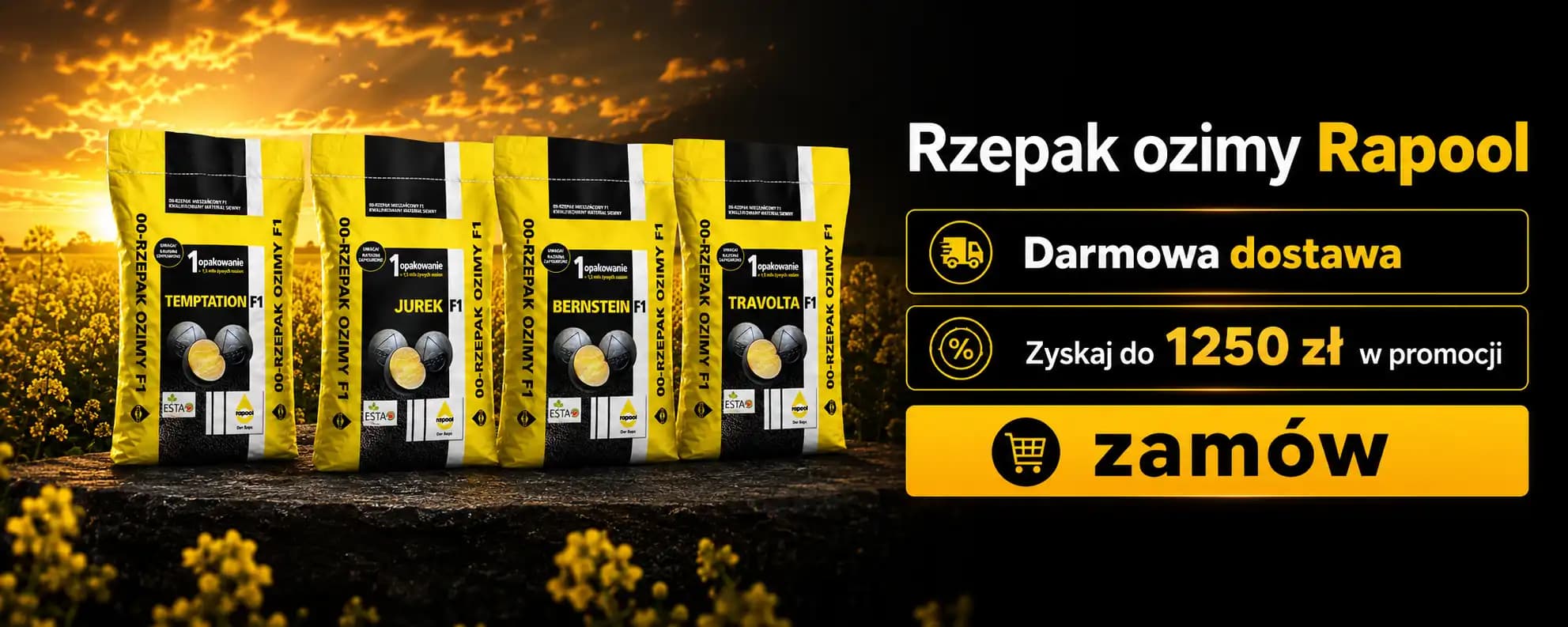 Rzepak ozimy Rapool - wysokiej jakości materiał siewny