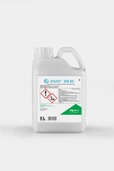 Joust 250 EC