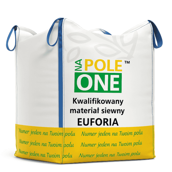 Pszenica ozima Euforia BigBag 500 kg NaPole ONE