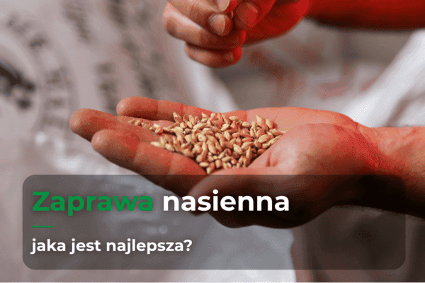 Jaka jest najlepsza zaprawa nasienna?