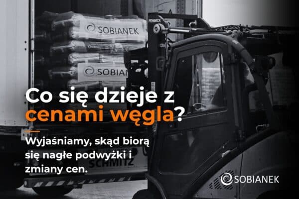 Ceny węgla groszku w 2026 r.