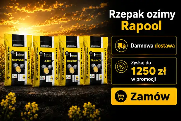 Rzepak ozimy Rapool - wysokiej jakości materiał siewny