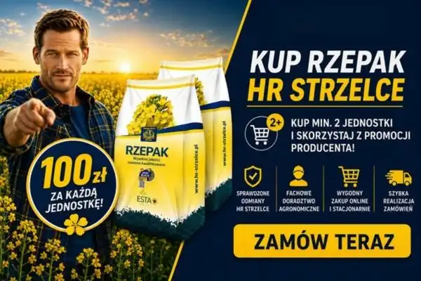 Rzepak ozimy Strzelce - wysokiej jakości materiał siewny