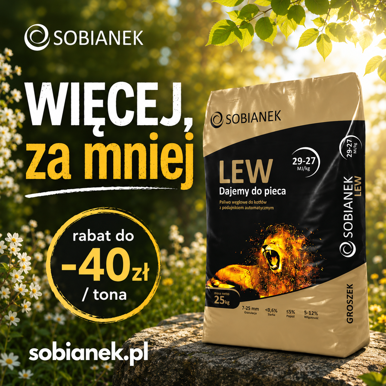 Groszek Lew w promocji do -40 zł tona więcej za mniej