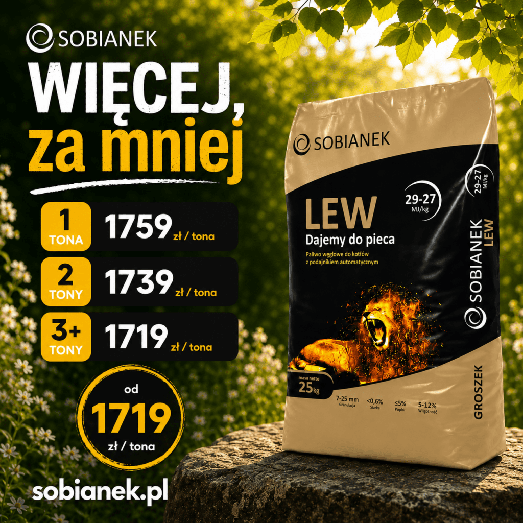 wegiel groszek lew wiecej za mniej