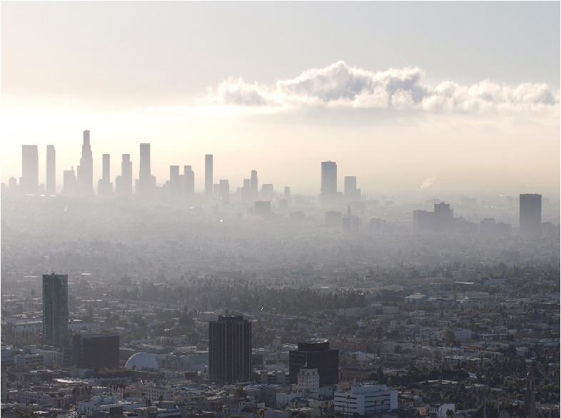 Czy ekogroszek pozwala zmniejszyć ilość smogu ?