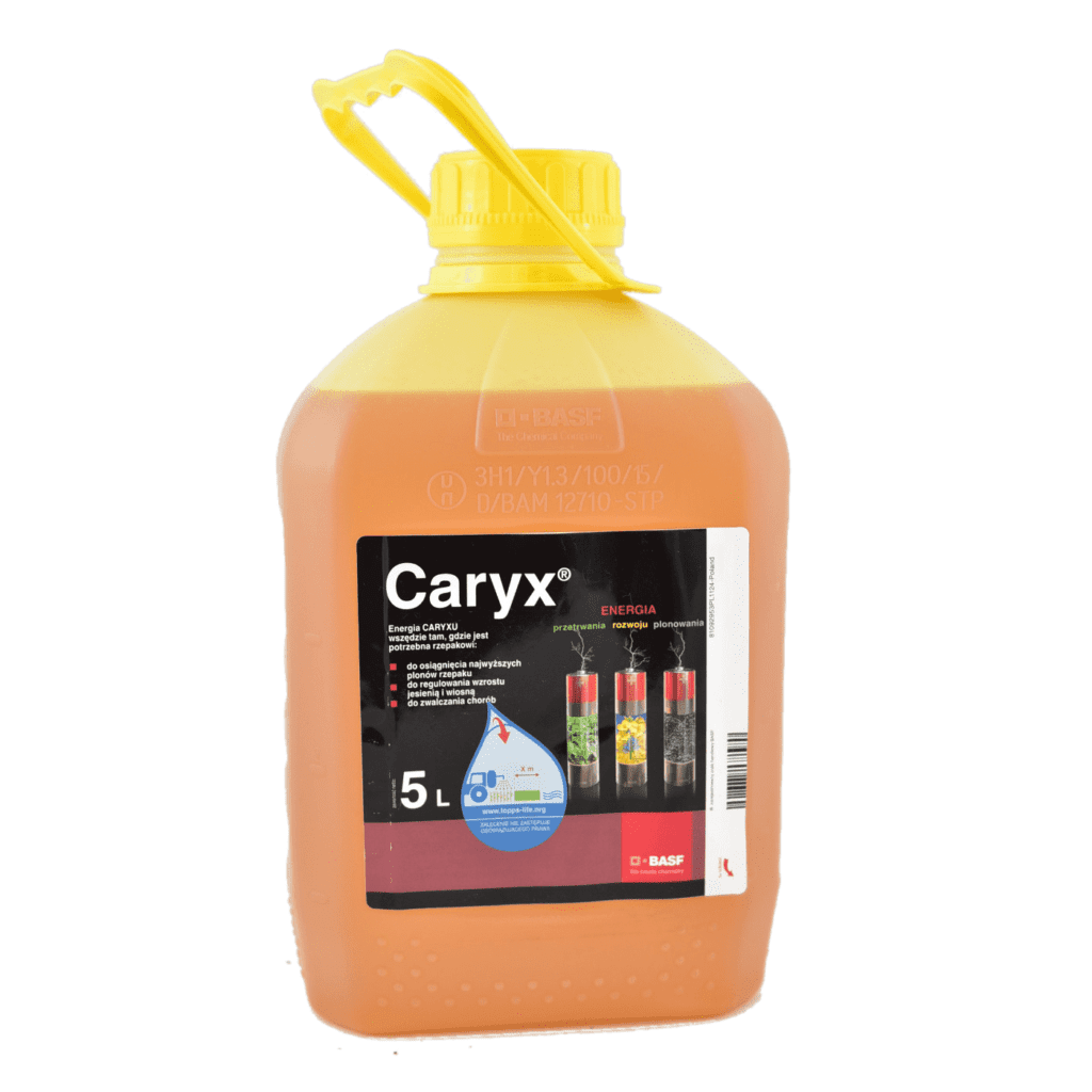 5L