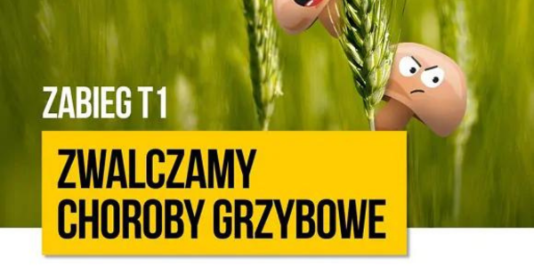 Zabieg T1. Jakie substancje aktywne wybrać?