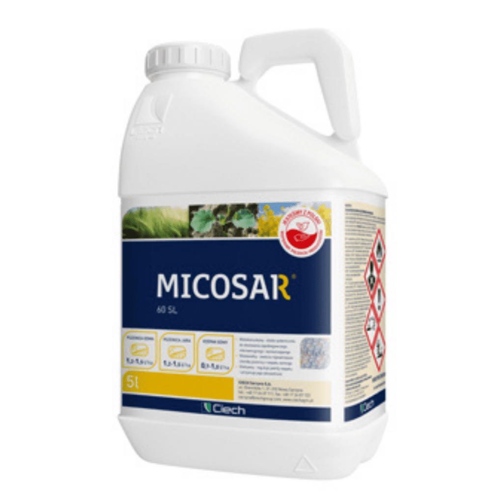 5L