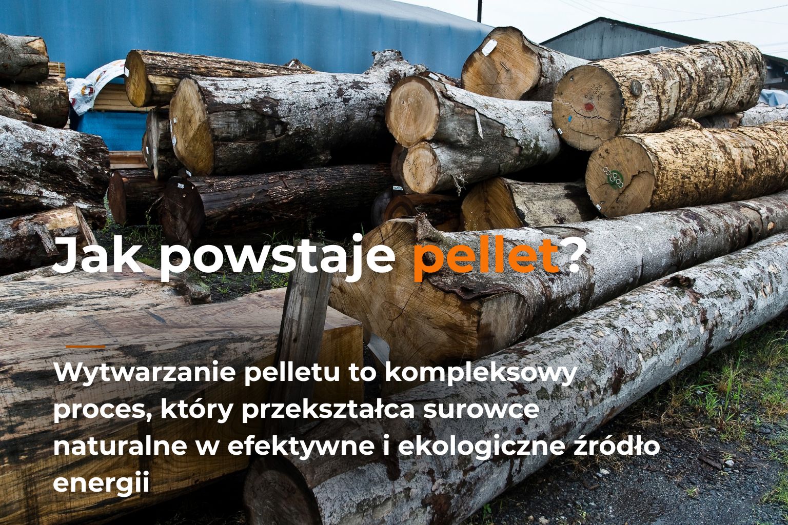 Produkcja pelletu drzewnego – proces granulowania biomasy