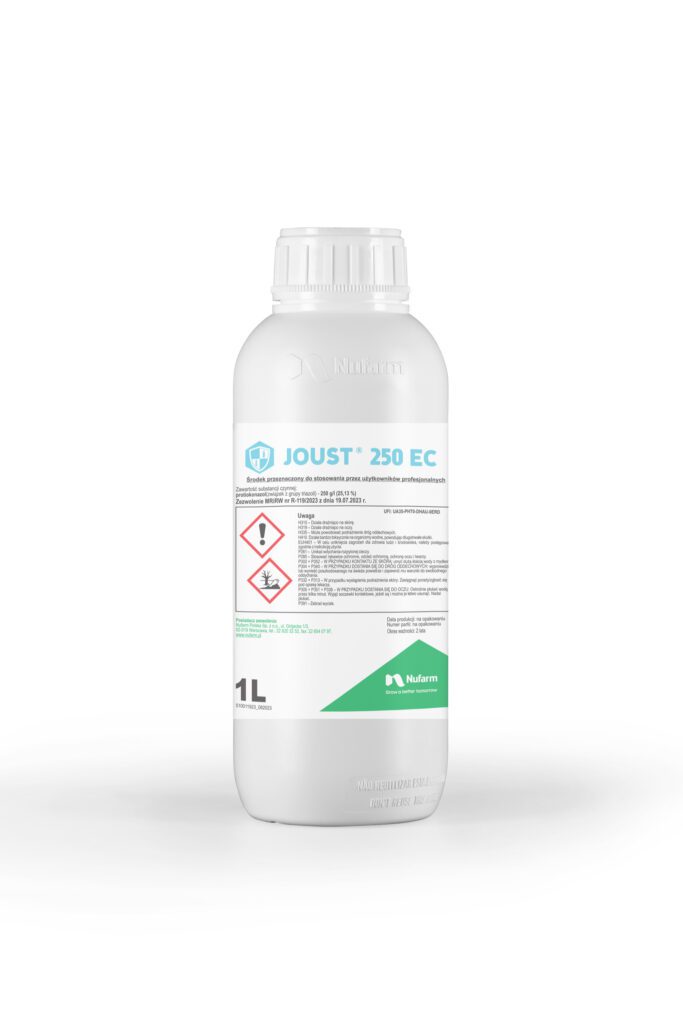 1L