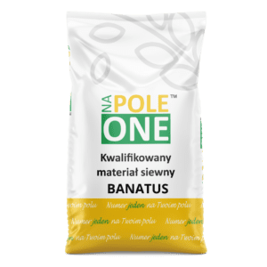 Pszenica Ozima Banatus C1 worek 50kg w jakości NaPoleONE hodowla Saaten Union