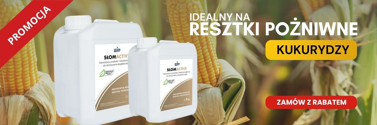 promocja na słomactive na re