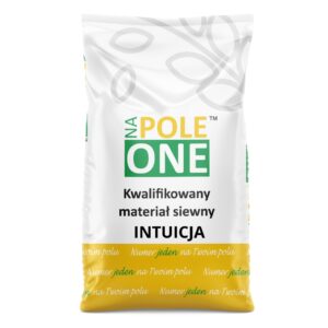 Pszenica Ozima INTUICJA wmateriał siewny w worku 50kg