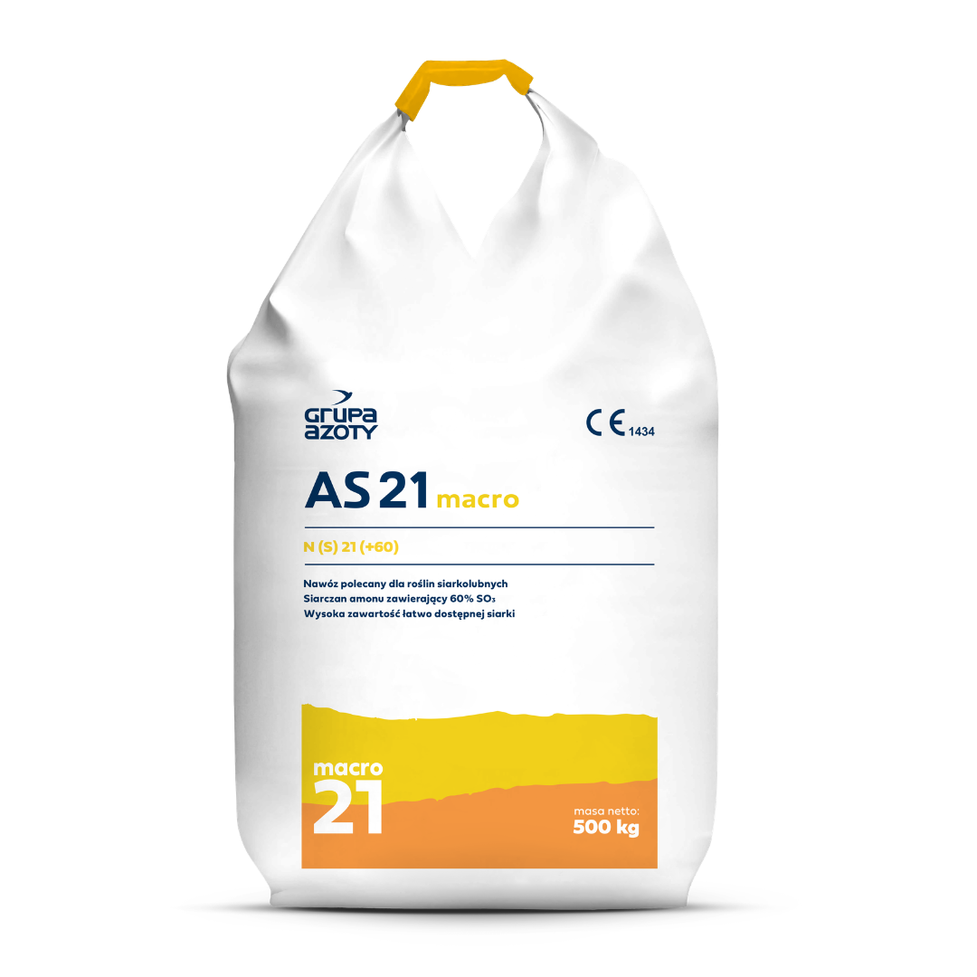 AS 21 Macro